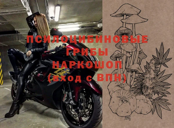 твердый Алзамай