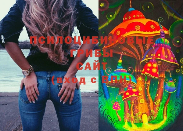 твердый Алзамай