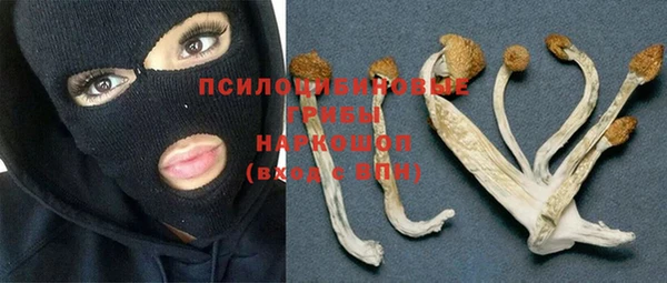 МДМА Алексеевка